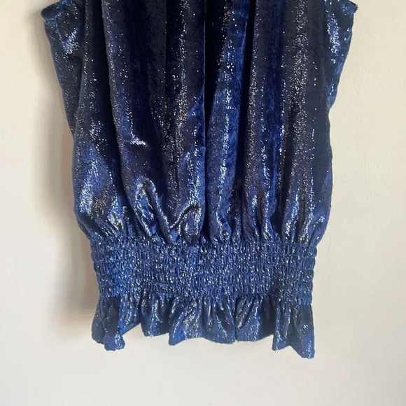 Ramy Brook Blue Shimmer Velvet Blouse - Picture 5 of 9